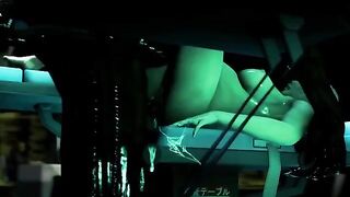 Hentai 3D Icarus - a story about forbidden love, perhaps?