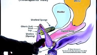 The best way to make women cum hard - Squirting Tutorial 2 by Mr PussyLicking