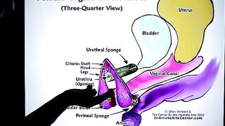 How to squirt? The best tutorial is here! Don't miss it!