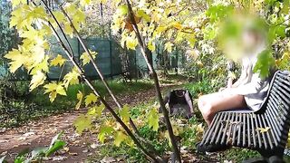 A flash of cock in the park, the MILF can't resist