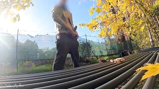 A flash of cock in the park, the MILF can't resist
