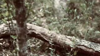 Lea's Wild Weekends1 is a cinematic homemade threesome
