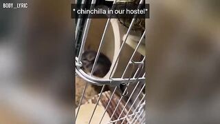 Sex in a capsule hostel and a big city adventure