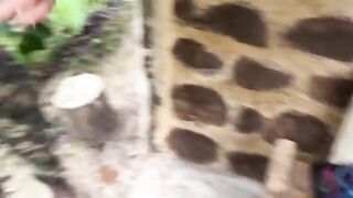 Two lovers get caught fucking in the jungle without any clothes