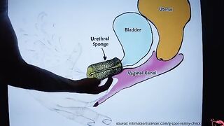 Squirt tutorial with the hottest tips to make you a pro at squirting!