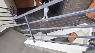 Latina with perfect ass gets fucked hard by fake agents in elevator and toilet
