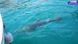 Romantic sex on a boat and fucking on the wooden deck in HD
