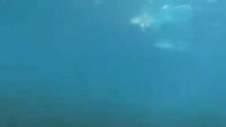 Underwater sex of aqualangists is very exciting to watch