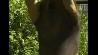 Man masturbating his cock in the hayloft with intense pleasure