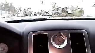 Nikki makes a blowjob in the car, it's her hobby