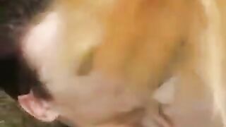 Skinny teen gets her pussy eaten in the park and fucked hard
