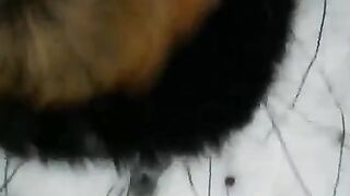 Winter street blowjob with a beautiful girl wearing stockings