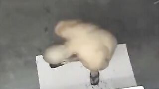 A naked man was spied on in the shower, it is embarrassing