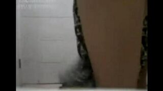 Asian beauties have fun with guys on the porn rollers