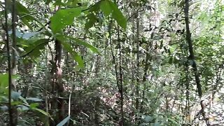Fresh air and her warm lips on my cock, a thrilling outdoor encounter