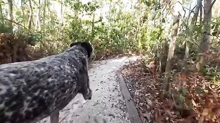 A man had sex with his girl in the backyard, she got cum inside