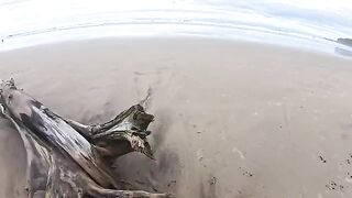 The beach is always wet — from the water and because of it